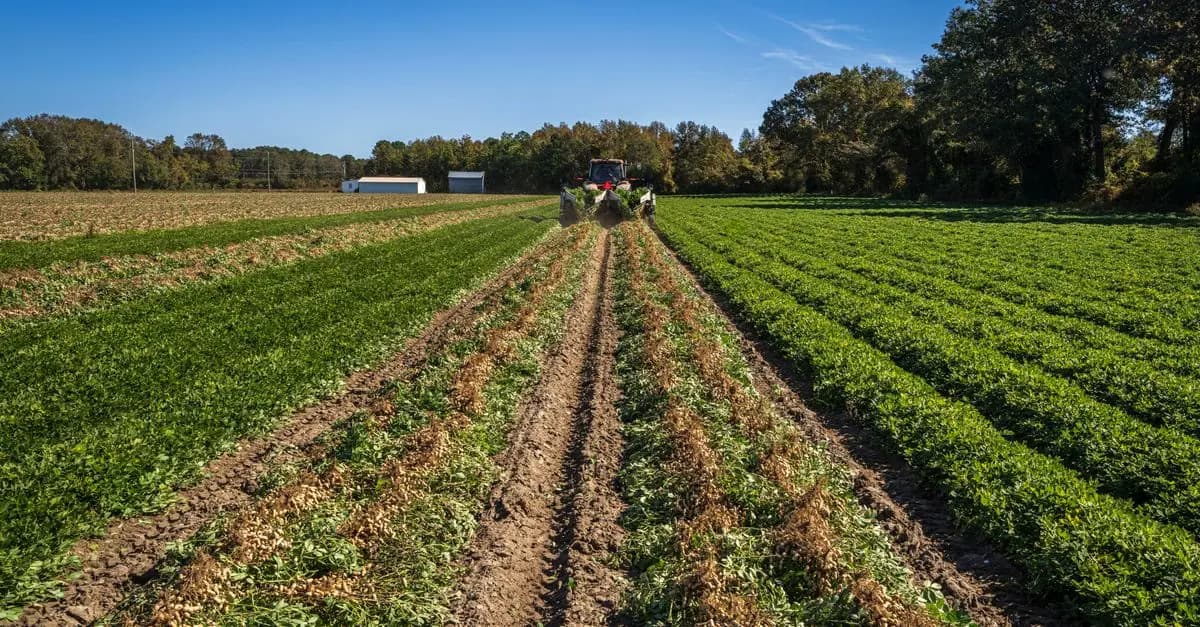 Les 7 critères essentiels pour choisir votre matériel tracteur
