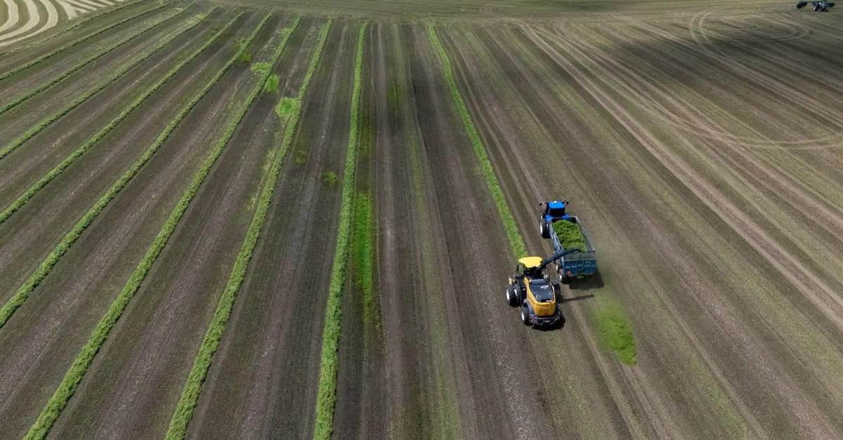 Les critères essentiels pour bien choisir votre matériel tracteur
