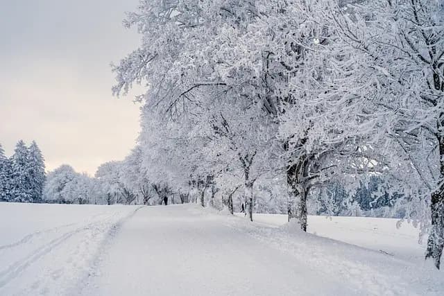 Comment bien préparer son matériel tracteur pour l'hiver