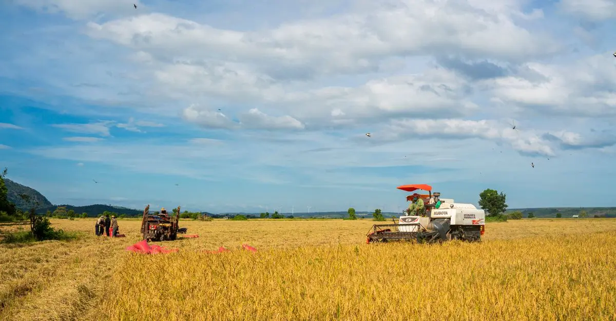 Comment bien choisir le bon matériel de tracteur pour votre exploitation